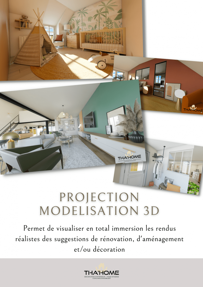 PROJECTION MODELISATION 3D